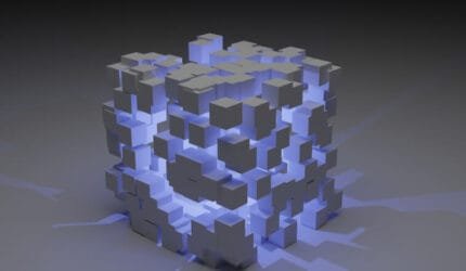 case study 06